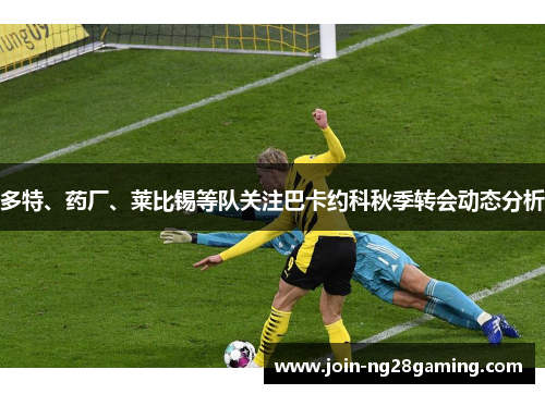 多特、药厂、莱比锡等队关注巴卡约科秋季转会动态分析