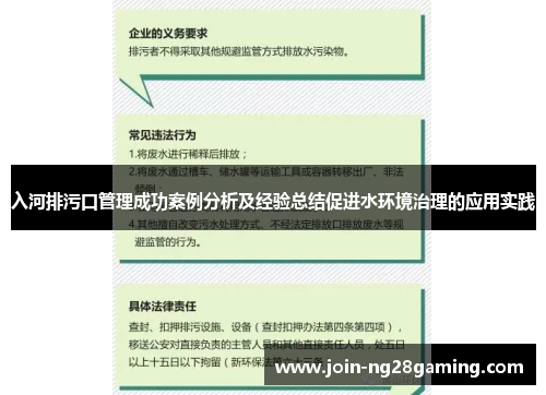 入河排污口管理成功案例分析及经验总结促进水环境治理的应用实践