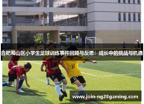 合肥蜀山区小学生足球训练事件回顾与反思：成长中的挑战与机遇