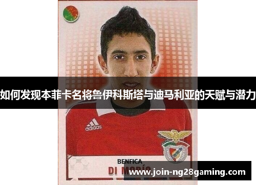 如何发现本菲卡名将鲁伊科斯塔与迪马利亚的天赋与潜力