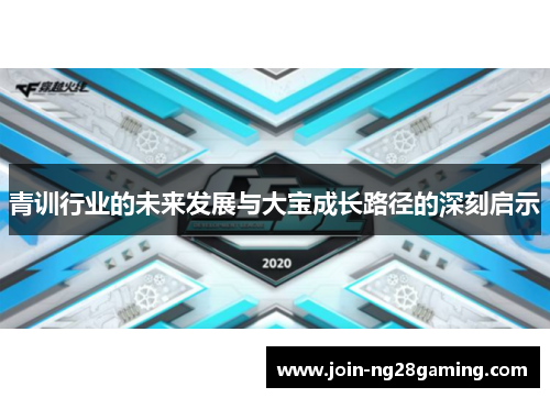 青训行业的未来发展与大宝成长路径的深刻启示